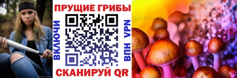 купить наркотик  ссылка на мегу маркетплейс  Псилоцибиновые грибы GOLDEN TEACHER  Удачный 